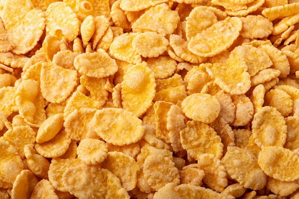 La vera storia dei cereali Kellogg’s, nati per calamare i “bollenti spiriti”