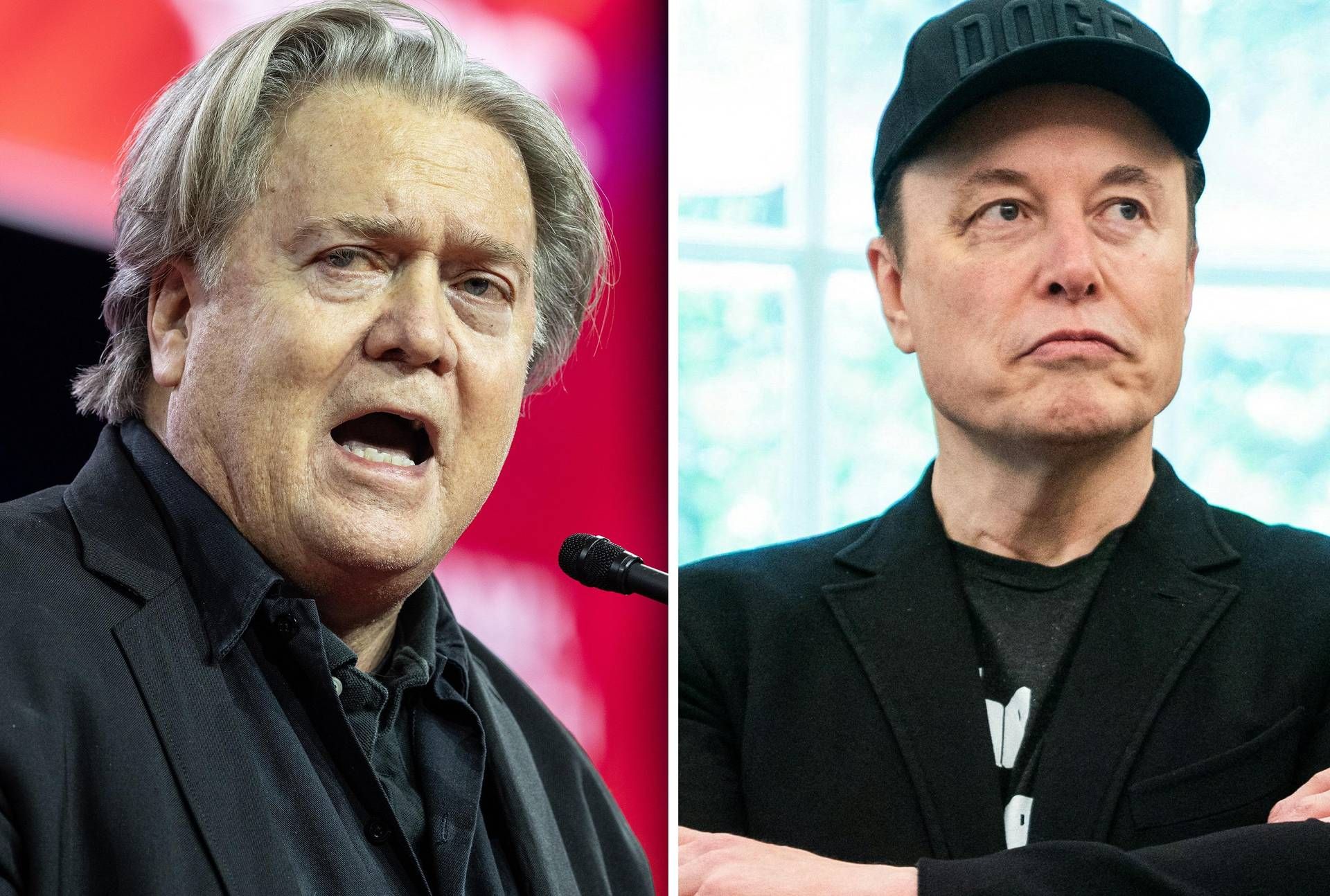 Volano stracci tra Steve Bannon ed Elon Musk. L'ex stratega di Donald Trump